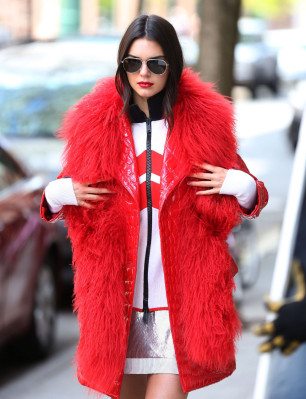 Kendall Jenner pic #793786