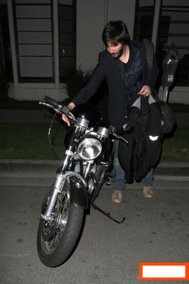 photo 10 in Keanu gallery [id596018] 2013-04-22 00:00:00