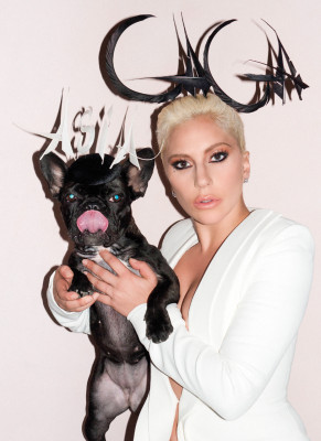 Lady Gaga pic #828053