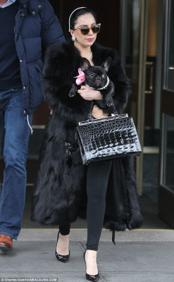 Lady Gaga pic #750986