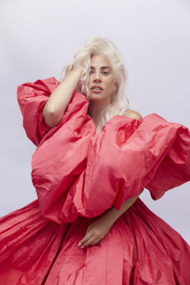 photo 18 in Gaga gallery [id1234550] 2020-09-25 00:00:00