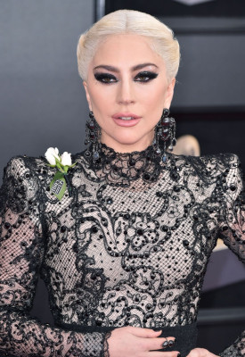 photo 3 in Gaga gallery [id1003242] 2018-01-29 00:00:00