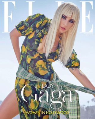photo 10 in Lady Gaga gallery [id1074067] 2018-10-11 00:00:00
