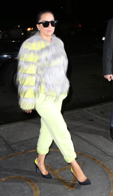 Lady Gaga pic #748696