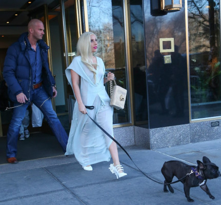 Lady Gaga pic #763136