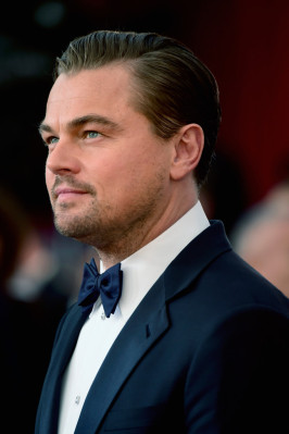photo 10 in DiCaprio gallery [id831165] 2016-02-01 00:00:00