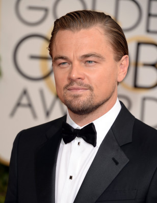 photo 5 in Leonardo DiCaprio gallery [id824663] 2016-01-06 00:00:00
