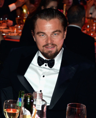 Leonardo DiCaprio pic #703419