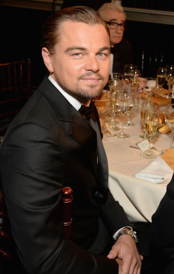 Leonardo DiCaprio pic #662054
