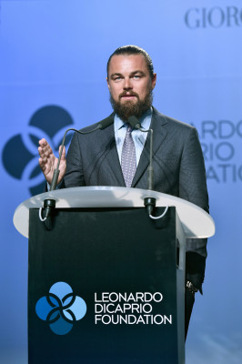 Leonardo DiCaprio pic #841137
