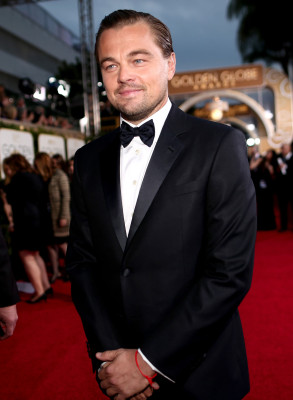 Leonardo DiCaprio pic #843663