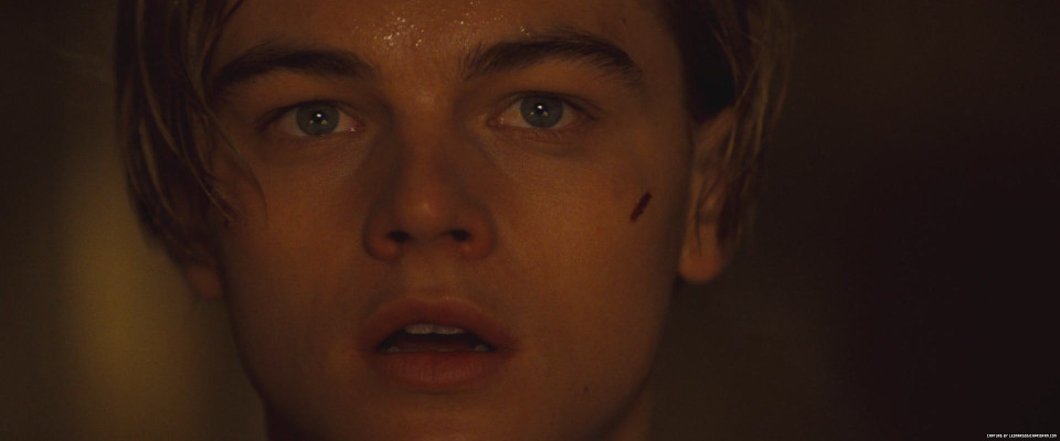 Leonardo DiCaprio pic #545149