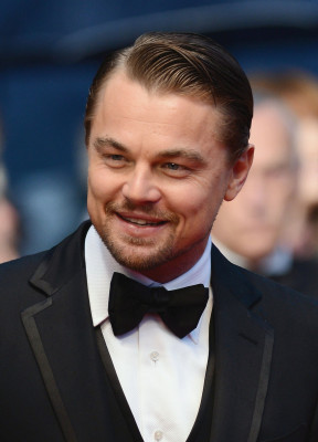 Leonardo DiCaprio pic #845679