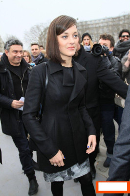Marion Cotillard pic #588596