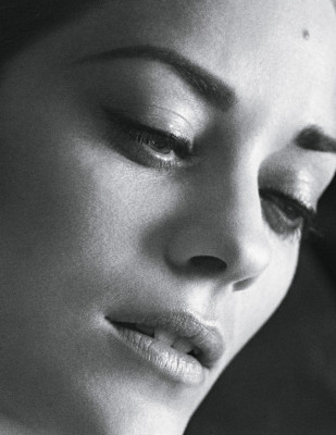 Marion Cotillard pic #273623
