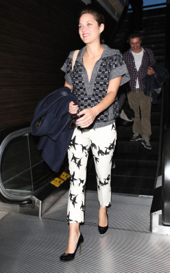 Marion Cotillard pic #547203