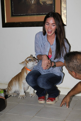 Megan Fox pic #461071