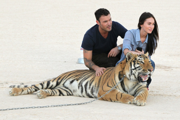 Megan Fox pic #781600