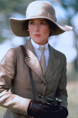 photo 11 in Meryl Streep gallery [id177326] 2009-08-26 00:00:00