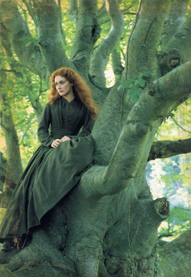 photo 29 in Meryl Streep gallery [id230093] 2010-01-25 00:00:00