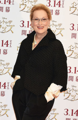 photo 15 in Meryl Streep gallery [id763950] 2015-03-13 00:00:00