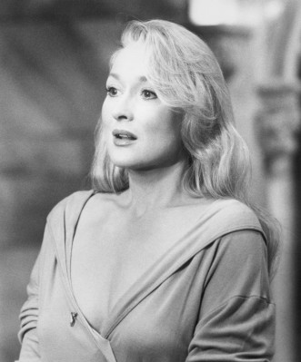 photo 4 in Meryl Streep gallery [id1313338] 2022-11-08 00:00:00
