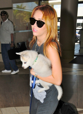 photo 9 in Miley gallery [id396074] 2011-08-04 00:00:00