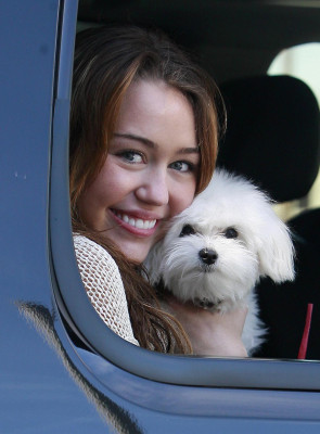 photo 25 in Miley Cyrus gallery [id161099] 2009-06-05 00:00:00