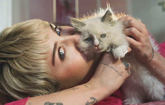 Miley Cyrus pic #1276748