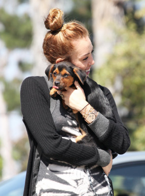 Miley Cyrus pic #492548