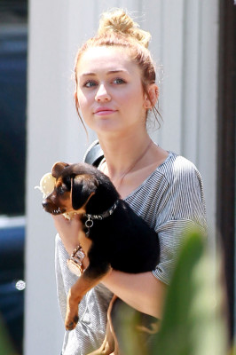 photo 15 in Miley gallery [id488458] 2012-05-15 00:00:00