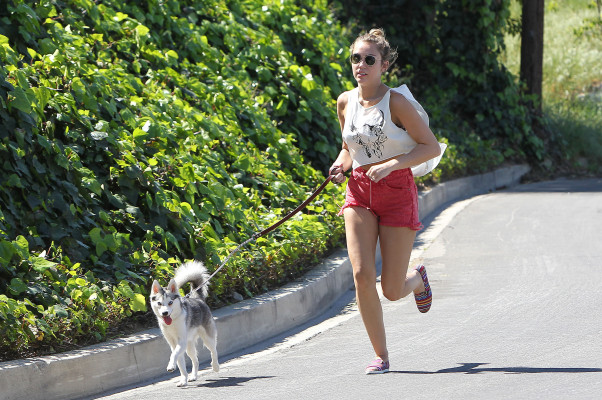 photo 21 in Miley gallery [id456760] 2012-03-06 00:00:00