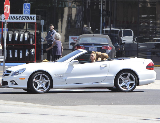Miley Cyrus pic #503206