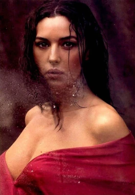 photo 11 in Monica Bellucci gallery [id1308397] 2022-08-20 00:00:00