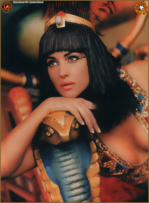 Monica Bellucci pic #5426
