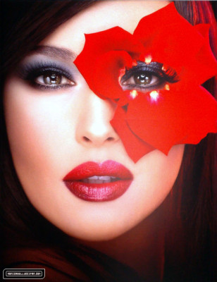 Monica Bellucci pic #252784