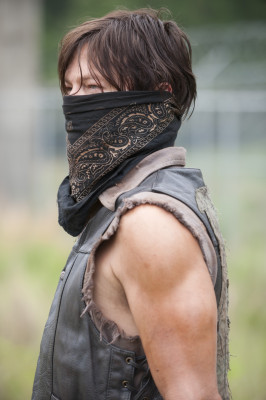 Norman Reedus pic #686330