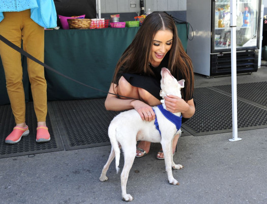 Olivia Culpo pic #926958