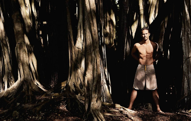 photo 21 in Paul Walker gallery [id480821] 2012-04-26 00:00:00