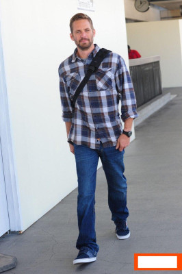 photo 15 in Paul Walker gallery [id599054] 2013-05-02 00:00:00