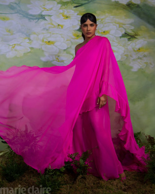 photo 29 in Priyanka Chopra gallery [id1247226] 2021-02-02 00:00:00