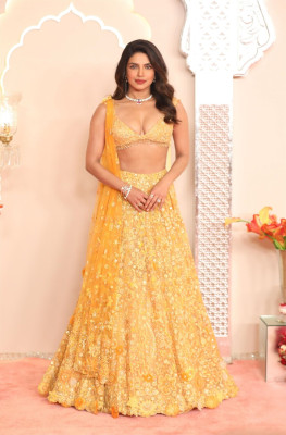 photo 10 in Priyanka Chopra gallery [id1356424] 2024-09-09 00:00:00