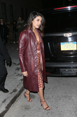 Priyanka Chopra pic #1007268