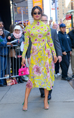 Priyanka Chopra pic #1032575