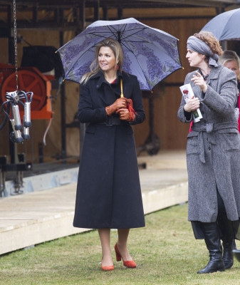 Queen Maxima of Netherlands pic #622334