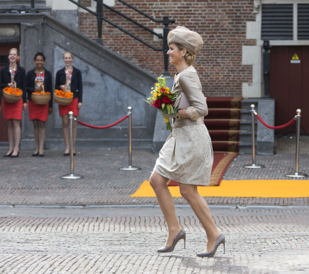 Queen Maxima of Netherlands pic #616368