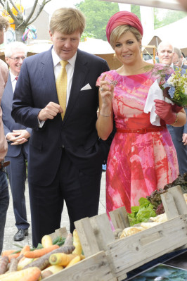 Queen Maxima of Netherlands pic #622390