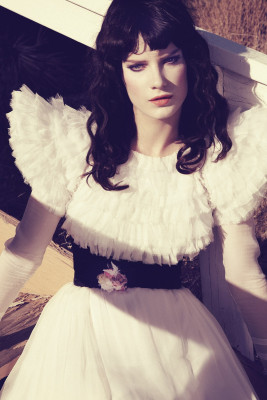 Querelle Jansen pic #1188944