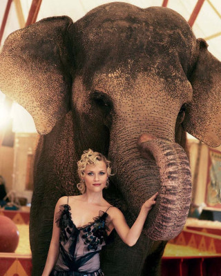 Reese Witherspoon pic #1122976