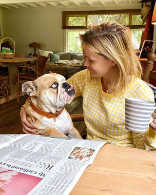 photo 3 in Reese Witherspoon gallery [id1235539] 2020-10-09 00:00:00